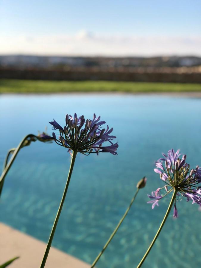 Willa Sunset Oasis L-Imgarr Zewnętrze zdjęcie